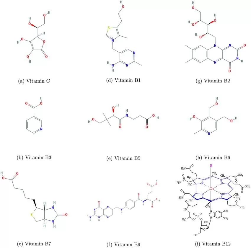 Chemical structures of water-soluble vitamins: vitamin C, B₁ (thiamine), B₂ (riboflavin), B₃ (niacin), B₅ (pantothenic acid), B₆ (pyridoxine), B₇ (biotin), B₉ (folate), and B₁₂ (cobalamin)